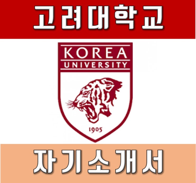  고려대학교 자기소개서 분석