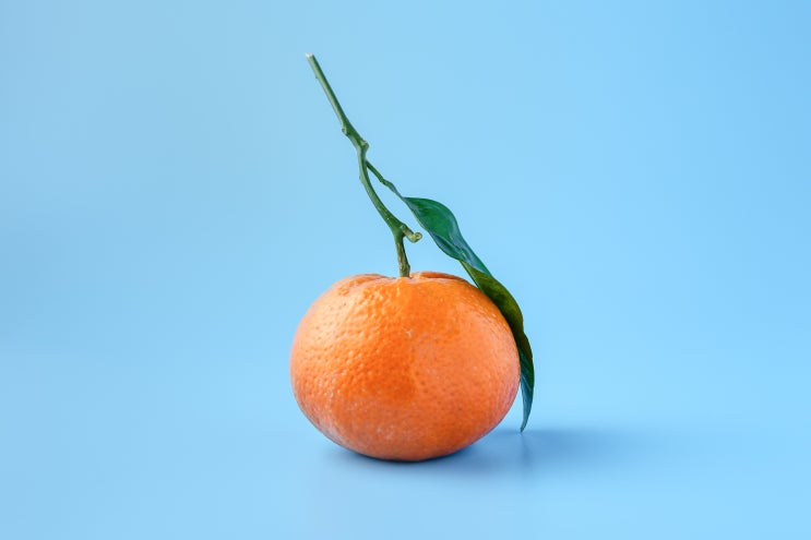  호주 영양제 브랜드 1탄 | 직구매니아는 모두 안다는 그것!