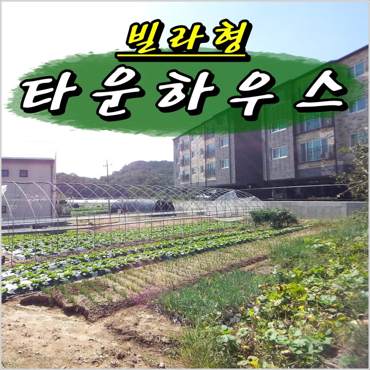 계양구신축빌라_다남동 화룡점정