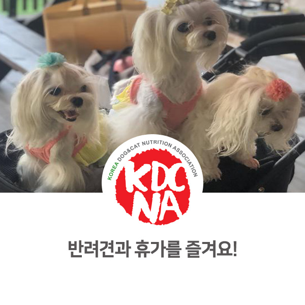  [반려동물 영양 전문 수제간식 창업] 쁘띠푸드의 2019 여름휴가_52