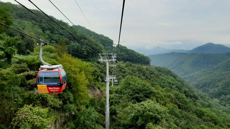  (평창여행) 발왕산케이블카로 구름 동산을 오르다!