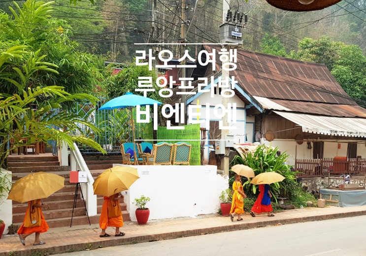  라오스 여행 비엔티엔 루앙프라방 알찬일정!