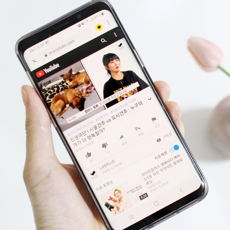  LIFEPLUS(라이프플러스) 인생극단 시골견주vs도시견주 공감되잖아~