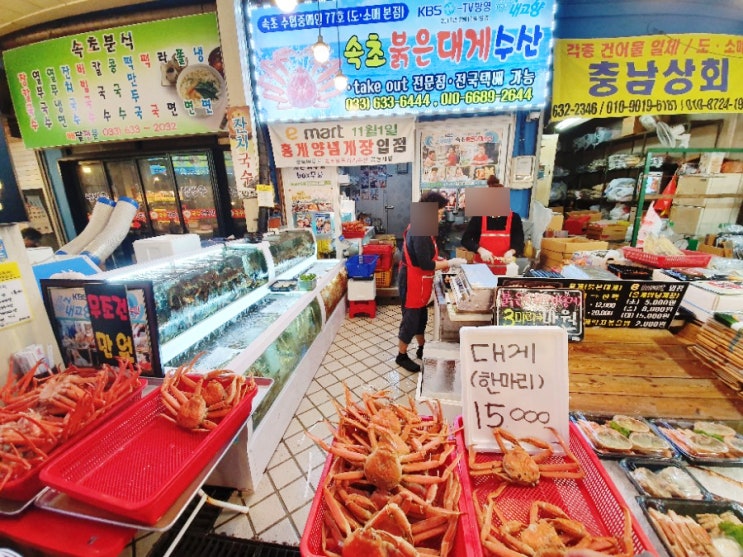  속초중앙시장 맛집추천 :  속초붉은대게수산, 팡마미유, 횟집
