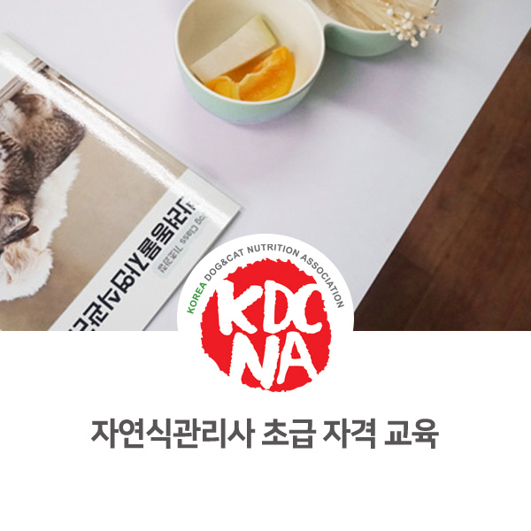  [펫푸드 영양 전문 자격 교육] 반려동물자연식관리사 초급 과정 가지덮밥 만들기_64