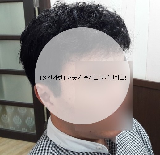  [울산가발] 태풍이 불어도 문제없어요!