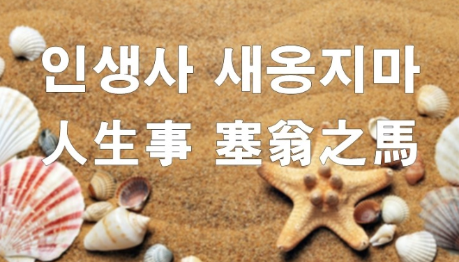  [ 스마트 스토어 ] 새옹지마..