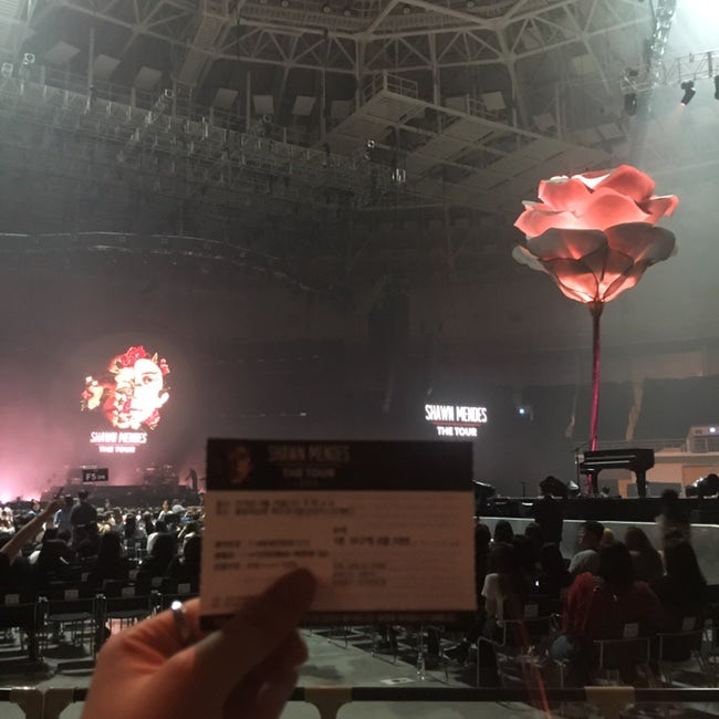 [션멘데스/Shawn Mendes] 션멘데스 내한 후기 - Shawn Mendes : The Tour 2019.09.25.수 @ KSPO DOME(체조경기장....