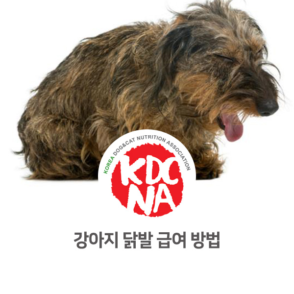  [강아지 고양이 영양 정보] 닭발에 대해서 알아보자!_112