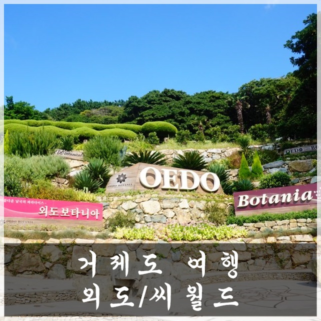  부산 근교 드라이브 고고~ 거제 외도 유람선부터 벨루가와 만남까지