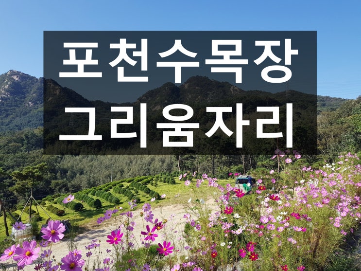  포천수목장 자연이 아름다운곳 입니다.