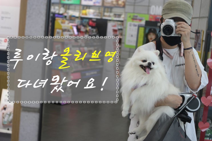  강아지랑 올리브영 다녀왔어요! +산책