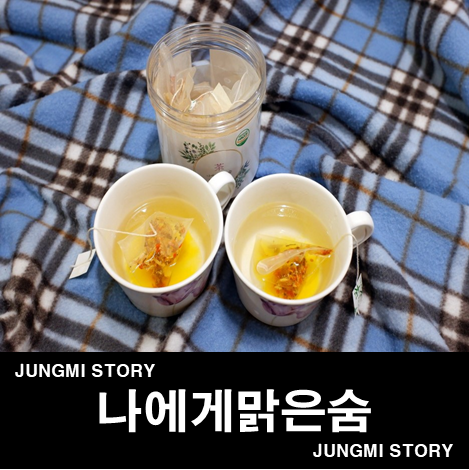 대구 약령시 나에게맑은숨 치자 색이 너무 예쁘네!