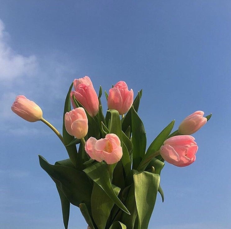  Record ; 언제나 강한 너에게