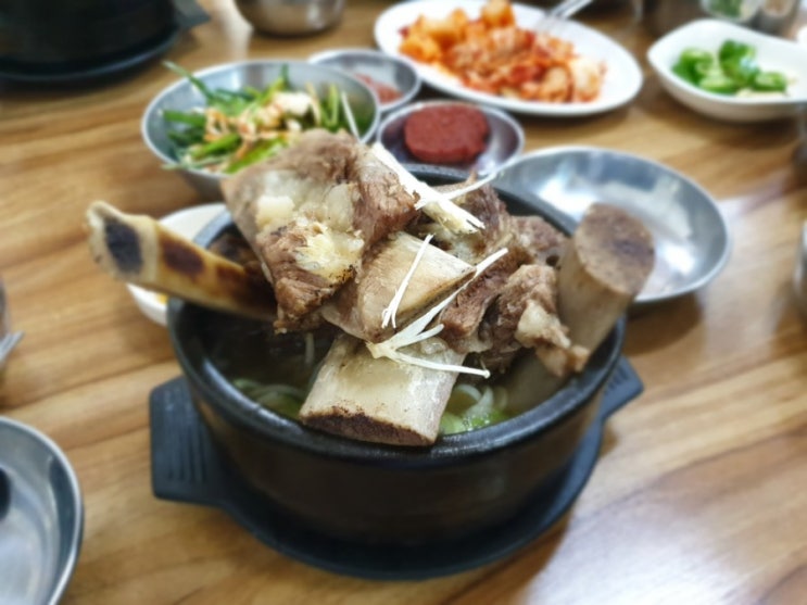  일상) 맛있었던 점심메뉴 공유!