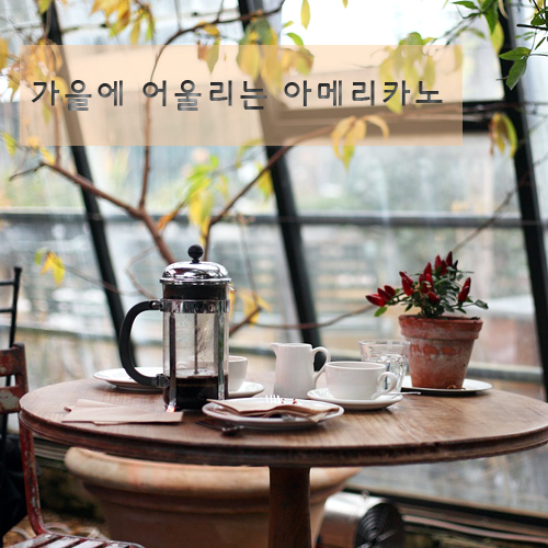  [ 아메리카노 ] 맛있는 아메리카노가 마시고 싶다면 바로 여기!