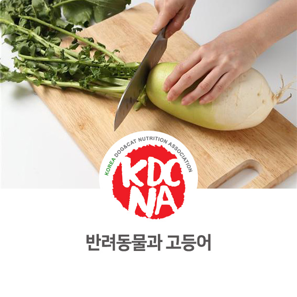  [반려동물 영양 정보] 강아지, 고양이 고등어의 효과에 대해 알아보자!_113