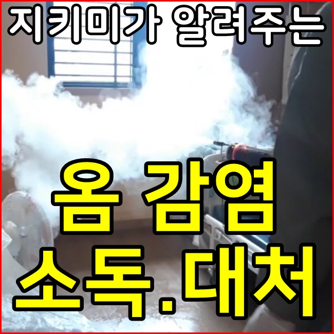  옴 감염 발생시 대처법과 전문소독방법 안내