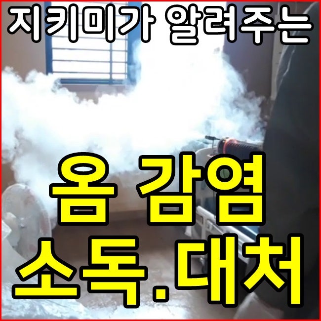 옴 감염 발생시 대처법과 전문소독방법 안내 : 네이버 블로그