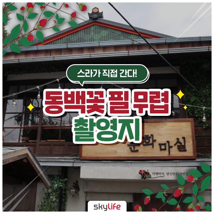  스라가 직접 간다! 드라마 동백꽃 필 무렵 촬영지는 어디?!