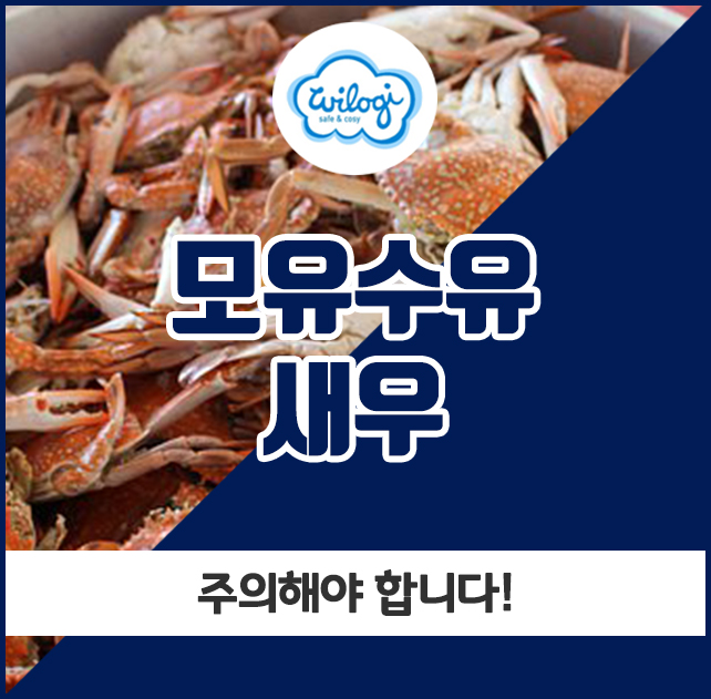  모유수유 새우, 주의해야 합니다!