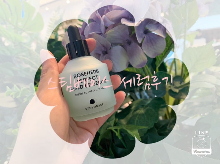  스팀베이스/로즈허브퍼펙트빌드업세럼 리얼후기