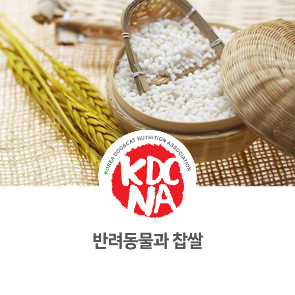  [반려동물 식재료 정보 나눔] 찹쌀에 대해서 알아보자!_110