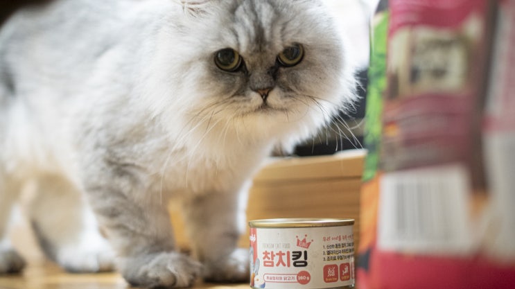  건강한 고양이 간식 핑크쥬코리아 동원 참치킹 까다로운 냥이를 위해