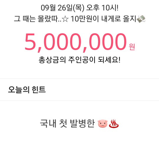  잼라이브 힌트 국내 첫 발병한 돼지열병