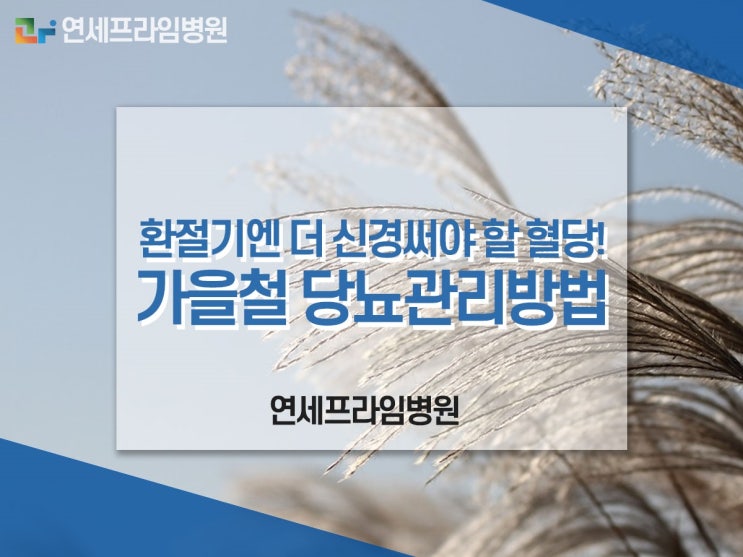  환절기엔 더 신경써야 할 혈당! 가을철 당뇨관리방법