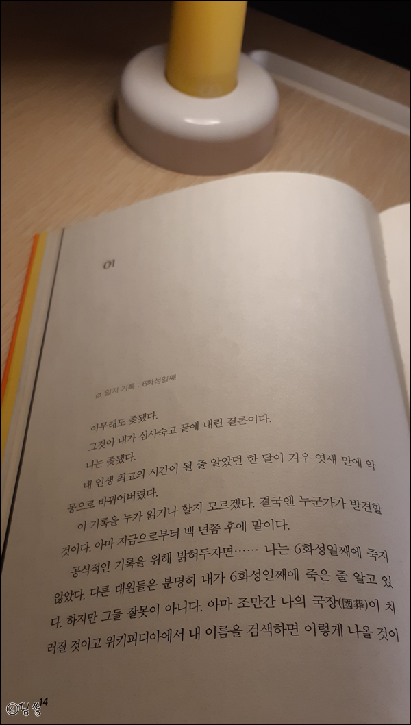  마션