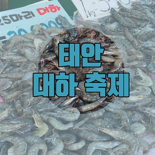  태안 대하축제 그리고 No 명물집