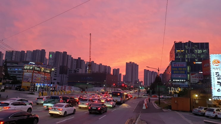  [천안 생활] 일상 ( 9월 24일 ~ 10월 5일 : 천안 / 서울 / 문산 / 용인 / 강화도)
