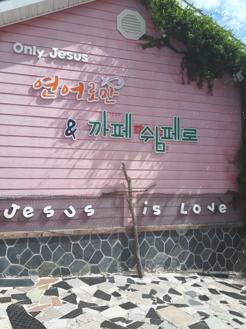  포항 연어로만 & 까페쉼페로