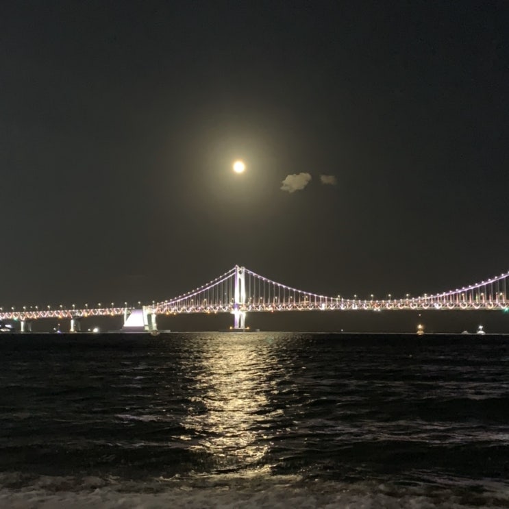  2019년 9월 둘째주 일상