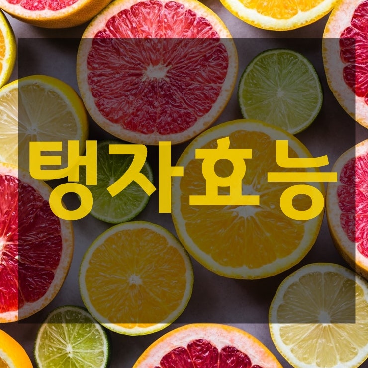 탱자효능,탱자효소효능은 과연?!