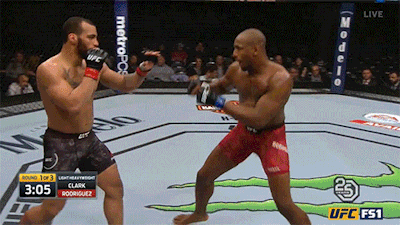 UFC 부산 정다운 vs 마이크 로드리게즈, 양동이 ONE 계약, 하빕 내년 봄 방어전 등 단신 UFC 부산 정다운 vs 마이크 로드리게즈, 양동이 ONE 계약, 하빕 내년 봄 방어전 등 단신