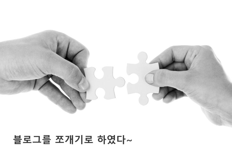  [결정] 블로그를 쪼개기로 하였다~