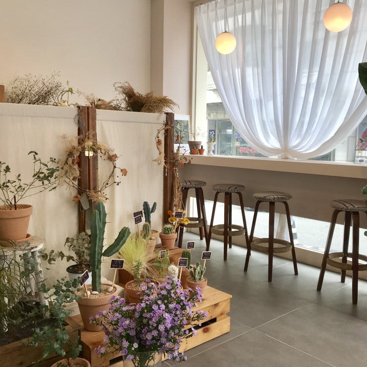 강남 카페 | 카페 본디, 뽀오얀 플라워 카페