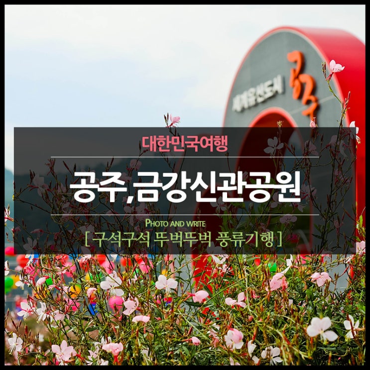  미르섬 핑크뮬리와 해바라기 가득한 공주신관공원
