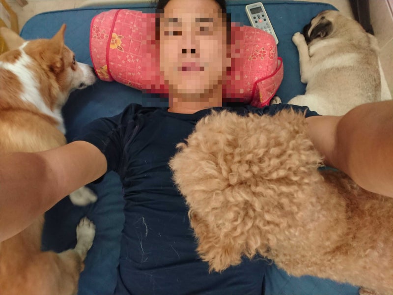 사진 5