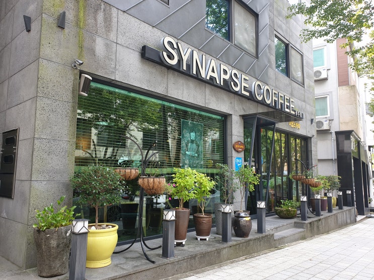 광주 분위기 좋은 곳 일곡동 카페 시냅스