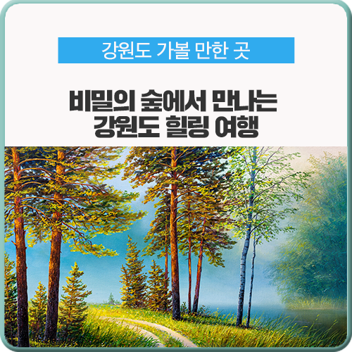  강원도 가볼 만한 곳, 비밀의 숲에서 만나는 강원도로 힐링 여행!