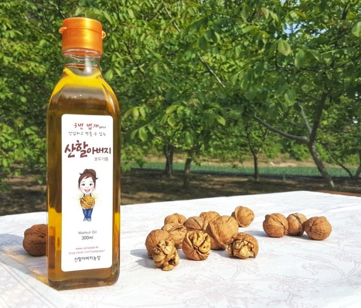 채널A 신대동여지도 국산 호두 기름 산할아버지 농장