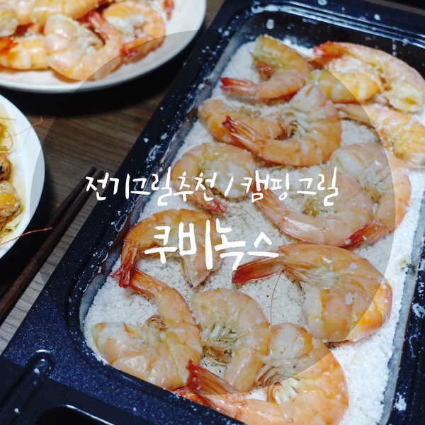  전기그릴 쿠비녹스 전골그릴, 어떤 요리든 말만해! 캠핑 그릴 추천(새우구이)