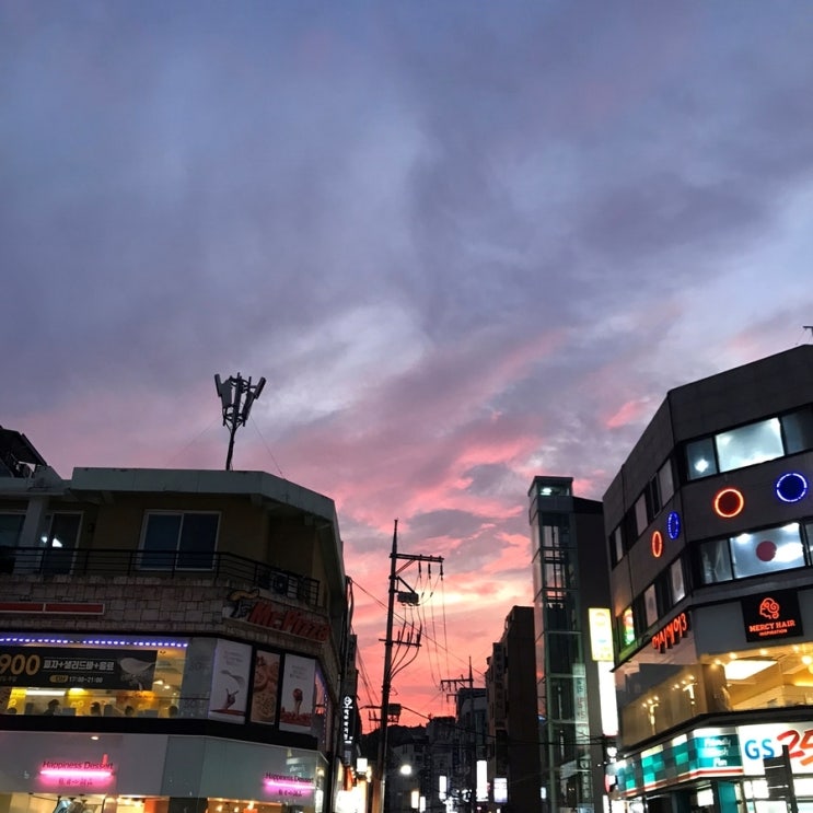  9월 : 어떻게 개강까지 사랑하겠어, 종강을 기다리는 거지