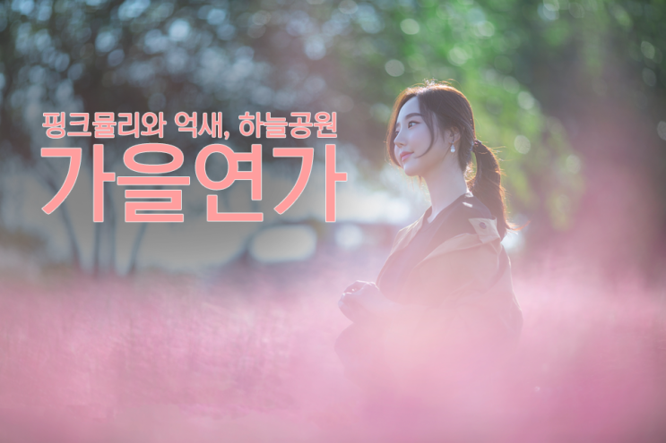  [인물 사진 찍기 좋은곳] 핑크뮬리와 억새, 서울 상암 하늘공원, 모델 현경양