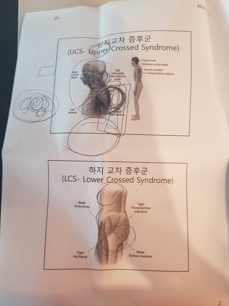  상동 피티 전문가 와 함께 하시죠