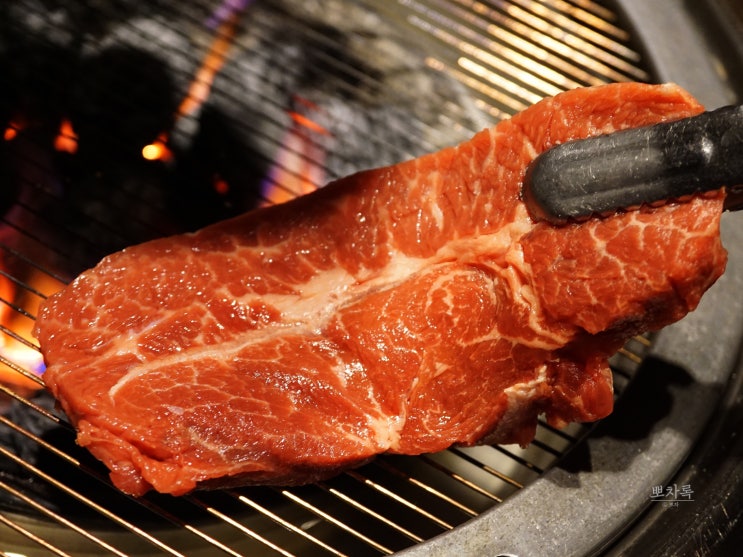  단골 각 나오는 강남역 맛집