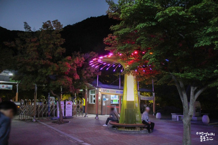  순창 강천산 야간개장 운영 요일, 시간 안내 (+ 솔직후기)